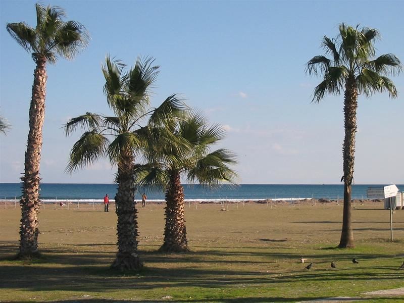 -29% Last Minute Cipru 2026